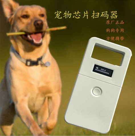 rfid readers for pets|pet microchip tag scanner.